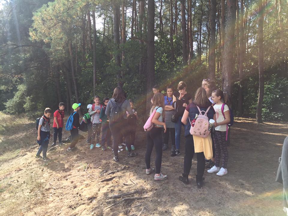 Sprzątanie lasów w Golubiu-Dobrzyniu
