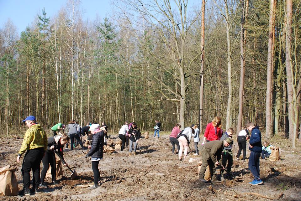 Akcja sadzenia lasu